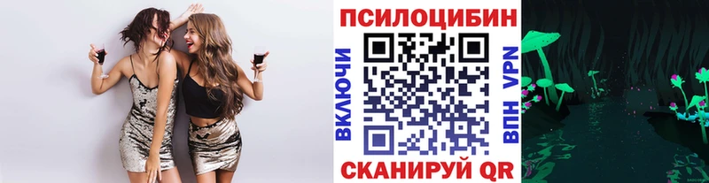 Галлюциногенные грибы Psilocybine cubensis  Купить закладки  Каменка 